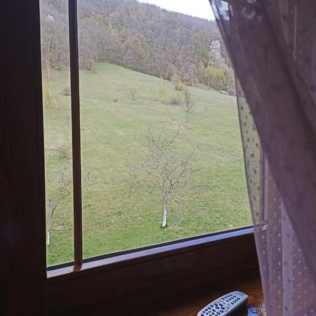 Pensiunea Costesti Costeşti Exterior foto