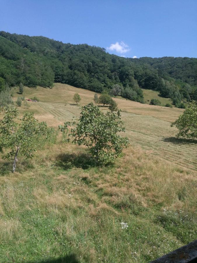 Pensiunea Costesti Costeşti Exterior foto