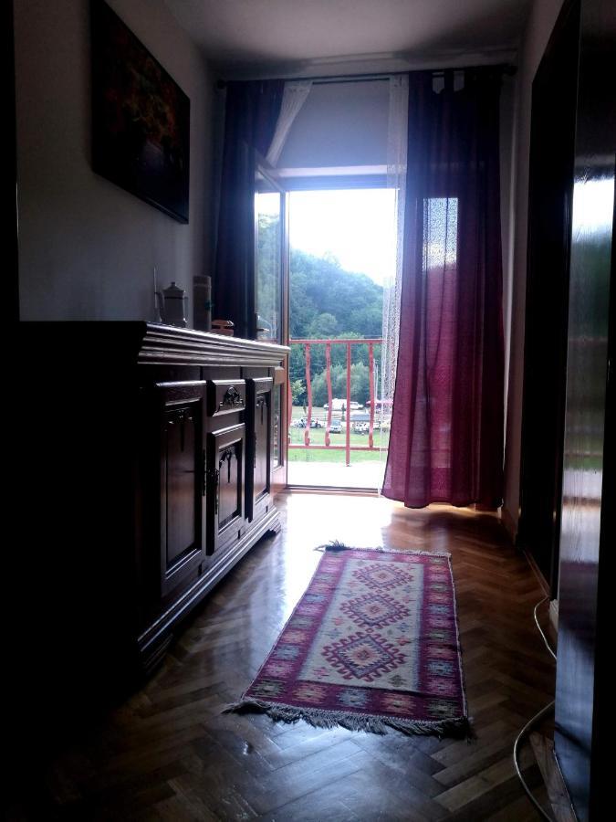 Pensiunea Costesti Costeşti Exterior foto