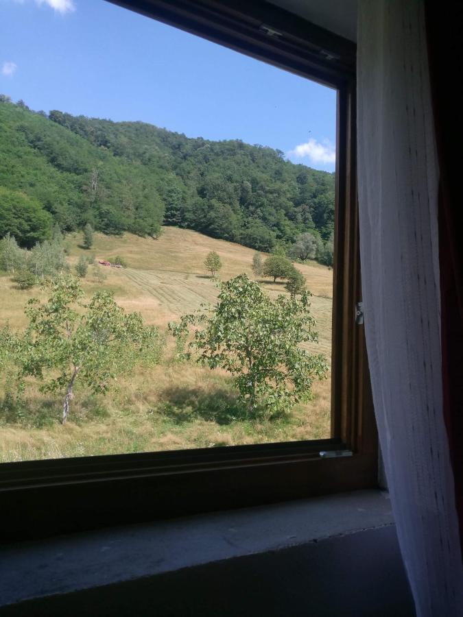Pensiunea Costesti Costeşti Exterior foto