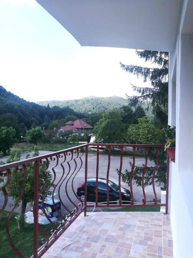 Pensiunea Costesti Costeşti Exterior foto