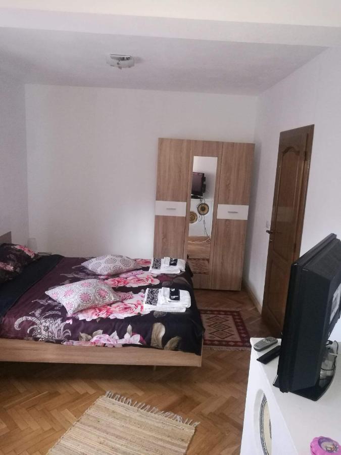 Pensiunea Costesti Costeşti Exterior foto