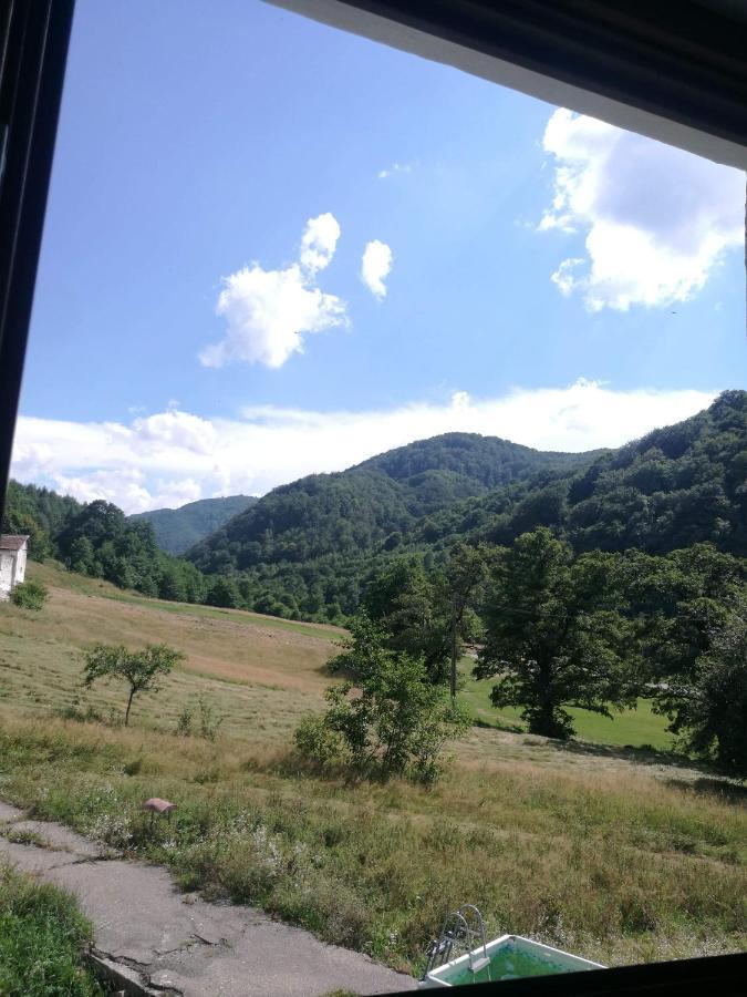 Pensiunea Costesti Costeşti Exterior foto