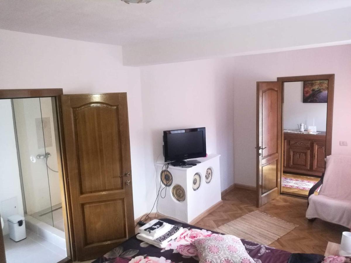 Pensiunea Costesti Costeşti Exterior foto
