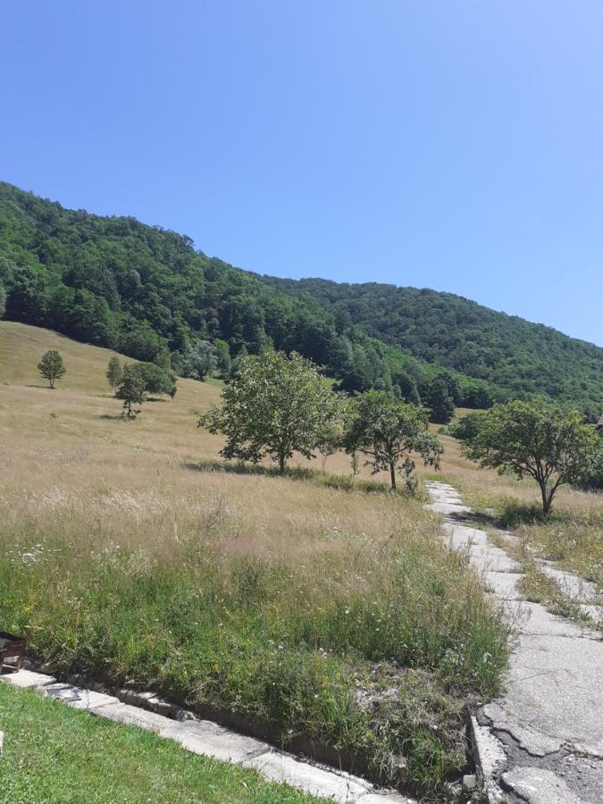 Pensiunea Costesti Costeşti Exterior foto