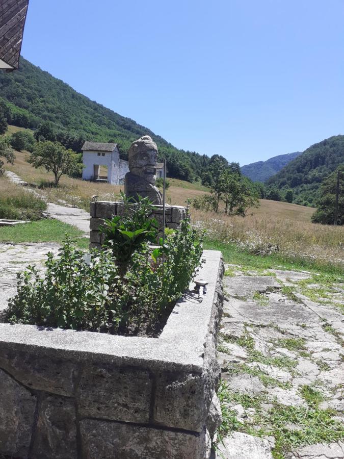 Pensiunea Costesti Costeşti Exterior foto