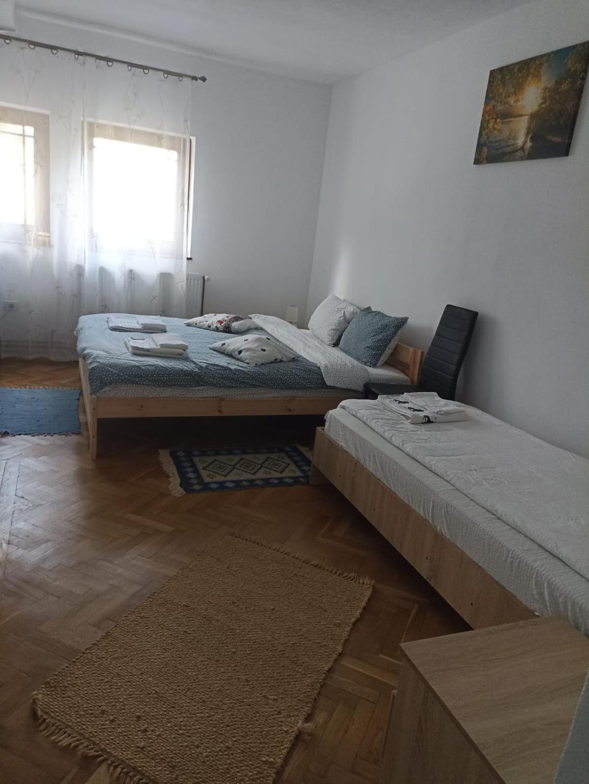 Pensiunea Costesti Costeşti Exterior foto